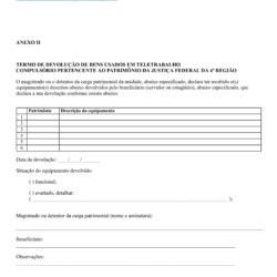 DOC SEI 5326518 - Portaria 1146 - DF-PR - 14-10-2020 - protocolo para devolução dos equipamentos utilizados em teletrabalho remoto compulsório - Pg.04